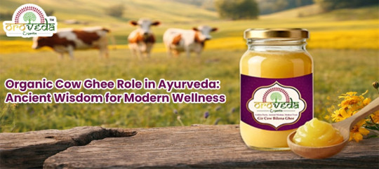Organic Cow Ghee Role in Ayurveda: Ancient Wisdom for Modern Wellness